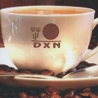 DXN Salento - Caffè e Integratori con estratto di Ganoderma chat bot