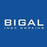 Bigal Inox Working chat bot