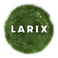 Larix Studio chat bot