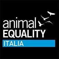 Animal Equality Italia chat bot