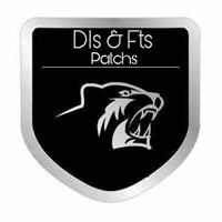 DLS and FTS patches chat bot
