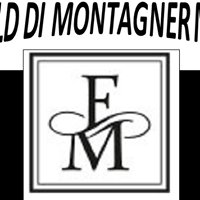 Fm World Montagner Massimo chat bot