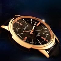 Luxury Watches chat bot