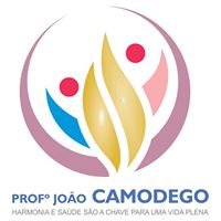 Professor João Camodego chat bot