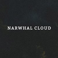 Narwhal.cloud chat bot